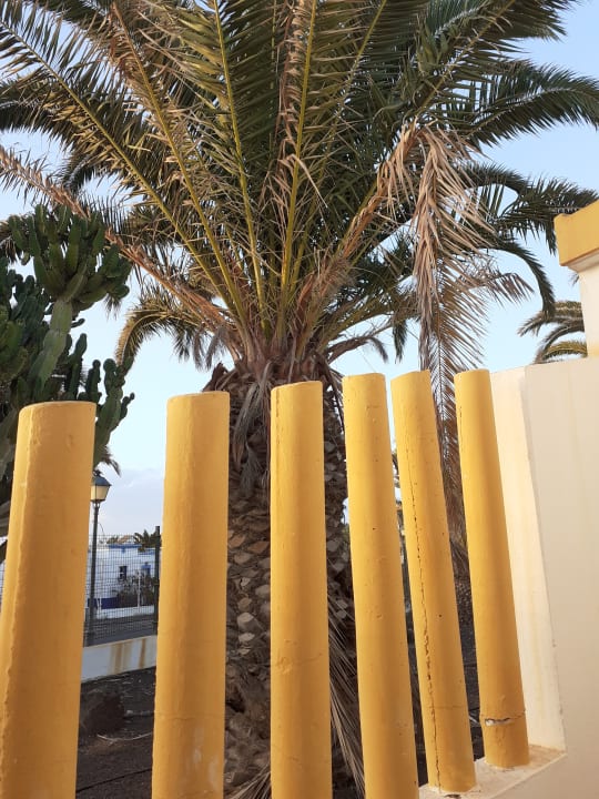Sonstiges MP Club Caleta Dorada