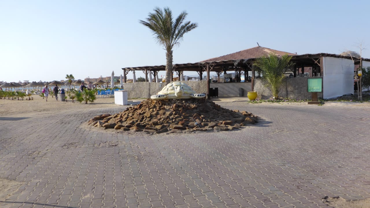 Bar Hilton Marsa Alam Nubian Resort