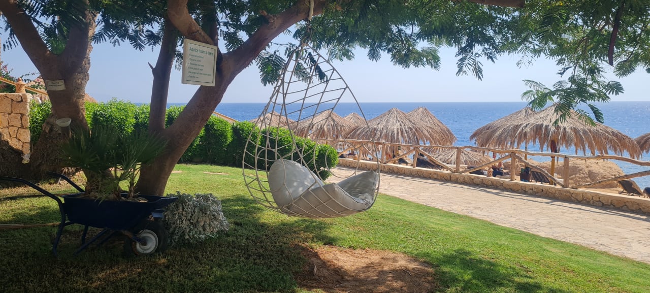 Gartenanlage Sharm Club Beach Resort