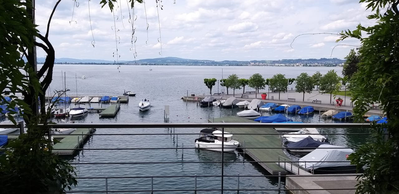 Ausblick Marina Lachen