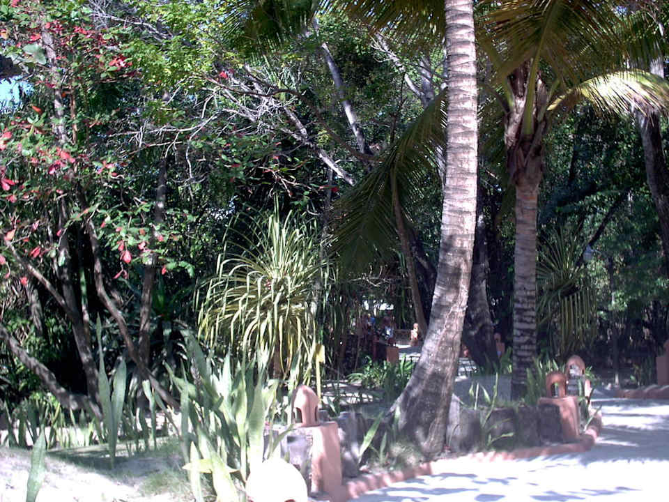 Gartenanlage Sunscape Puerto Plata