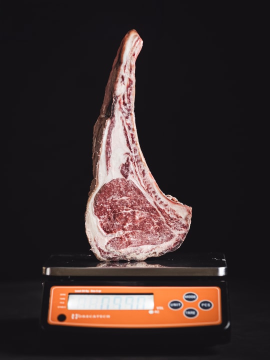 Gastro Hotel Panorama