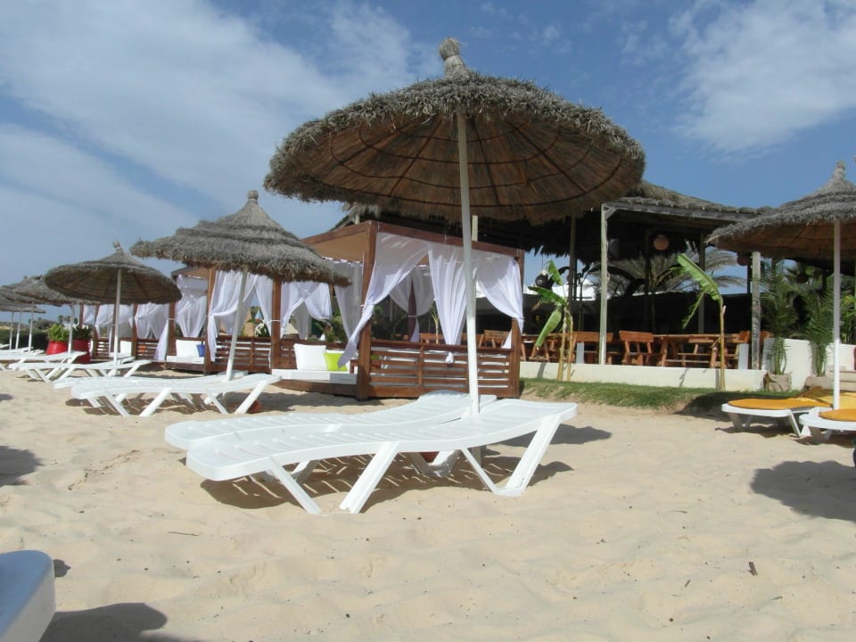 Strand - ausreichend Liegen/Schirme Hotel Royal Nozha