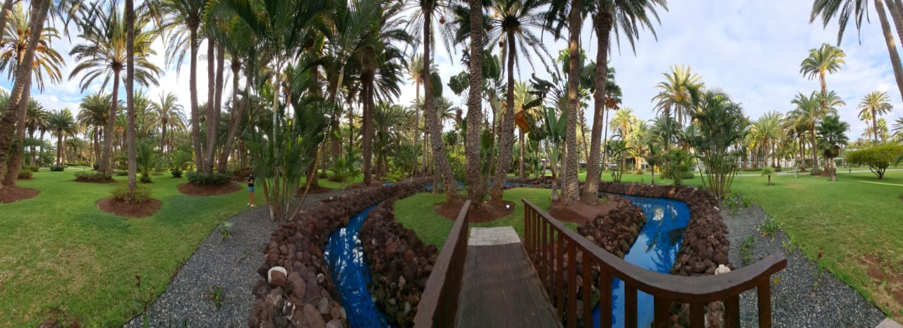 Gartenanlage Hotel Riu Palace Oasis