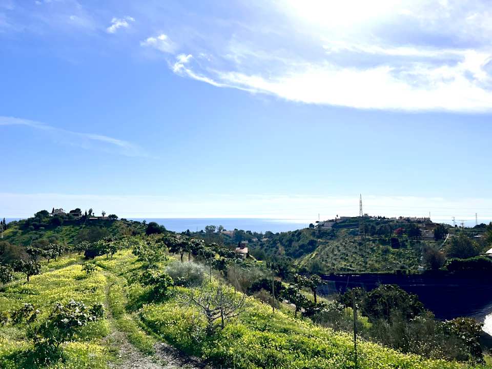 Gartenanlage Casa el Morisco