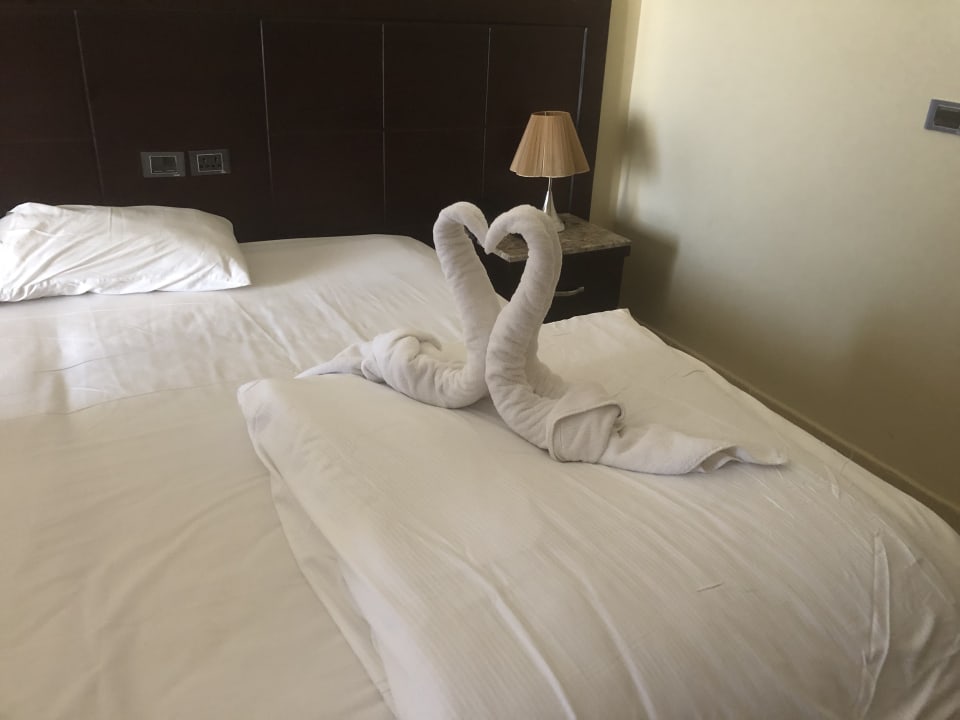 Zimmer Gravity Hotel & Aqua Park Hurghada