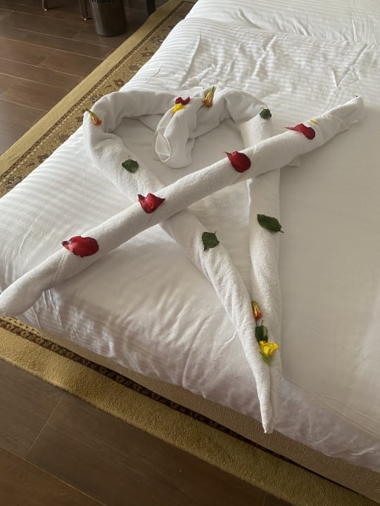 Zimmer Steigenberger Makadi Hotel - Adults only