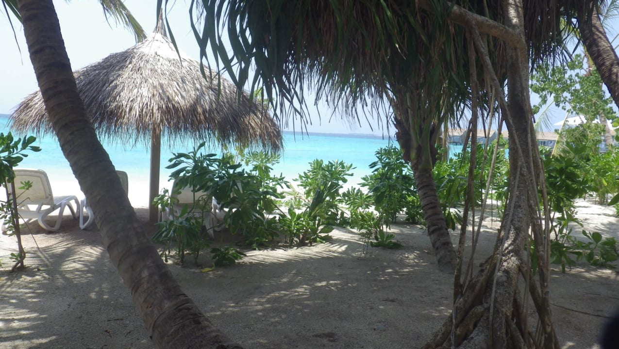 Nord-Ost-Teil Kuramathi Maldives