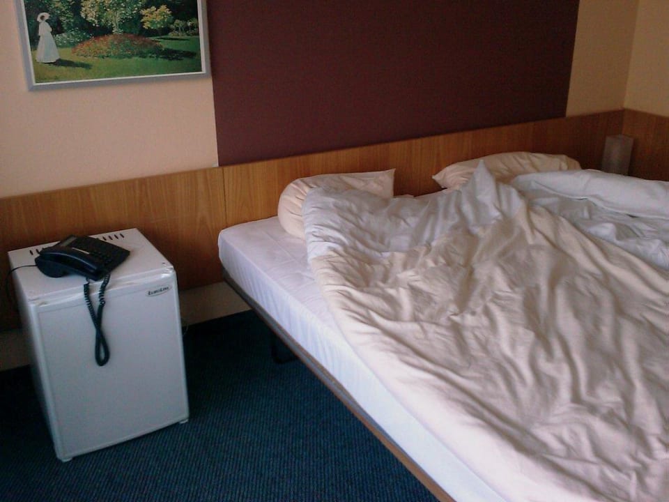 Zimmer Reichel's Parkhotel