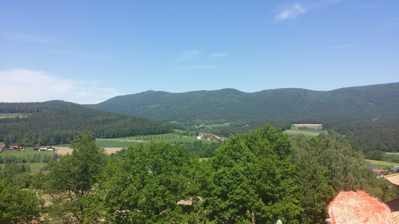 Ausblick Spirit & SPA Hotel Birkenhof am Elfenhain