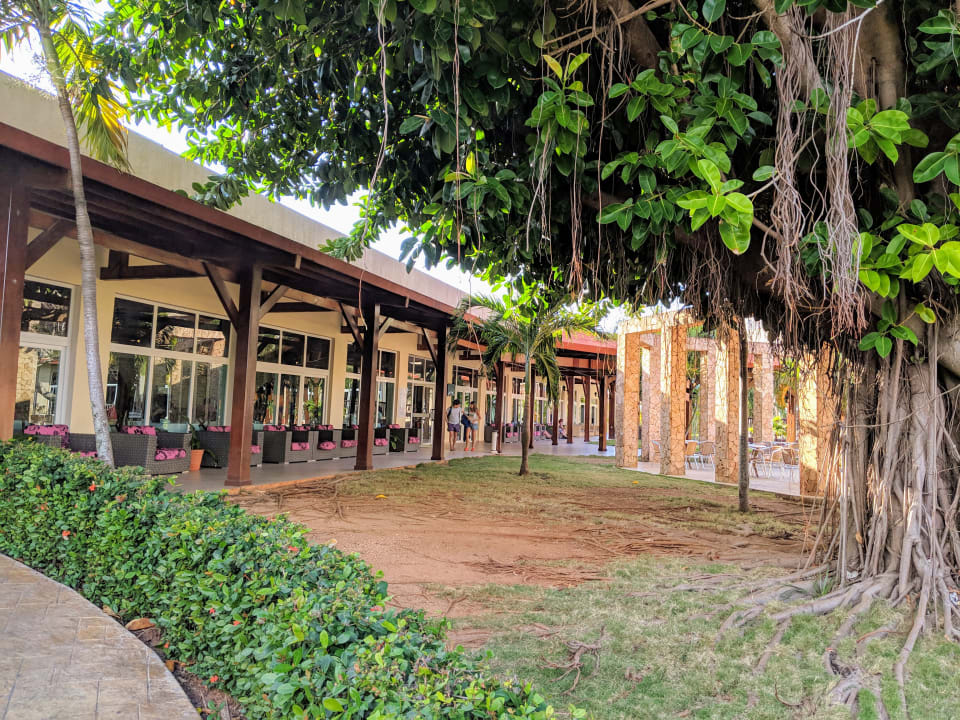 Gastro Iberostar Origin Taínos