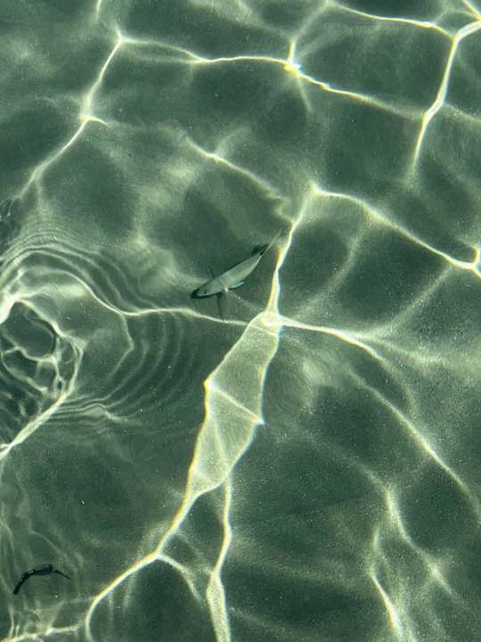 Strand Atlantica Mikri Poli Crete