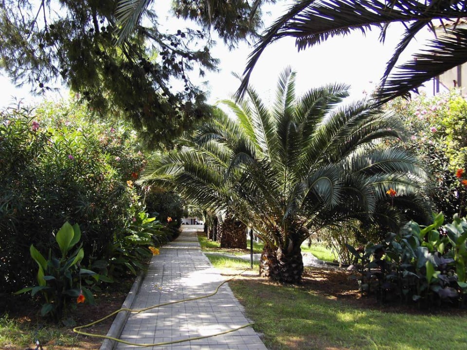 Ogród Hotel Portes Beach