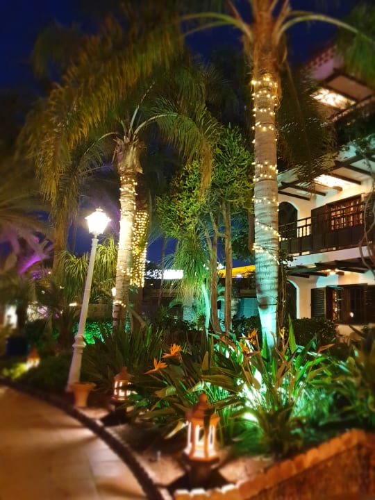 Gartenanlage Hotel Parque Tropical