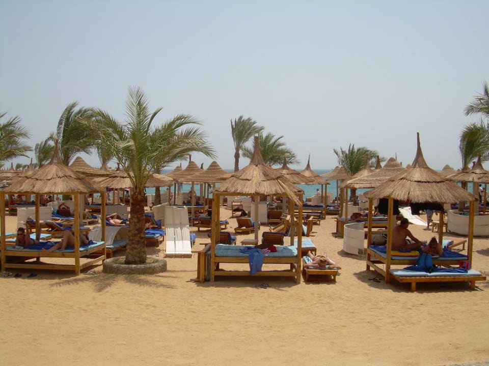 Schöner Strand und tolle Liegen Beach Albatros Resort