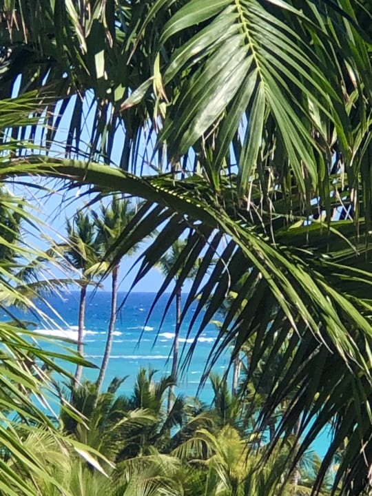 Ausblick Hotel Riu Palace Punta Cana