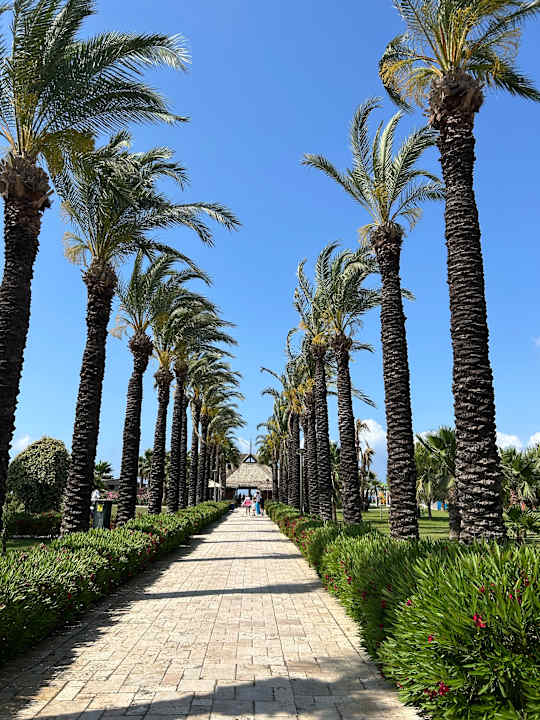 Sonstiges Calimera Serra Palace