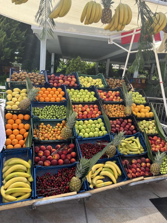 Gastro Hotel Delphin Diva