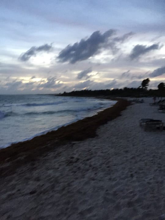 Strand Dreams Tulum Resort & Spa