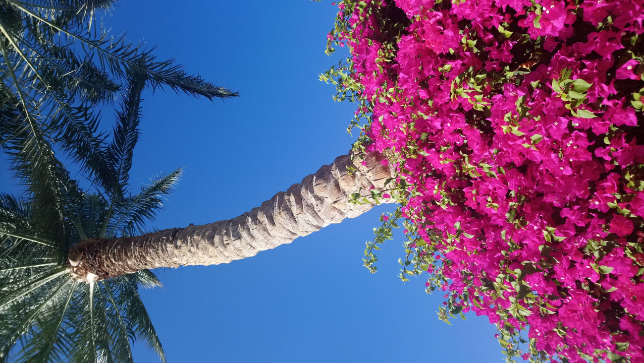 Strand Brayka Bay Resort