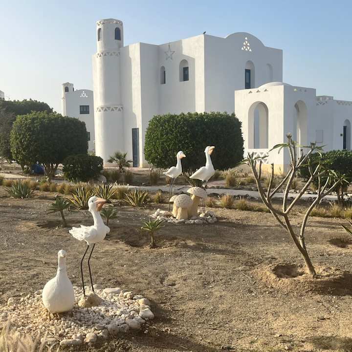 Außenansicht Beach Safari Nubian Resort