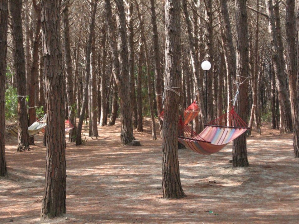 Relaxen bei klassischer Musik (Weg zum Strand) TUI MAGIC LIFE Calabria