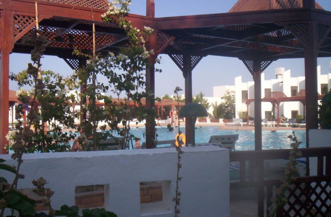 Basen Menaville Safaga