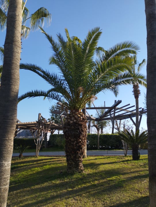 Gartenanlage Aydinbey Kings Palace & Spa