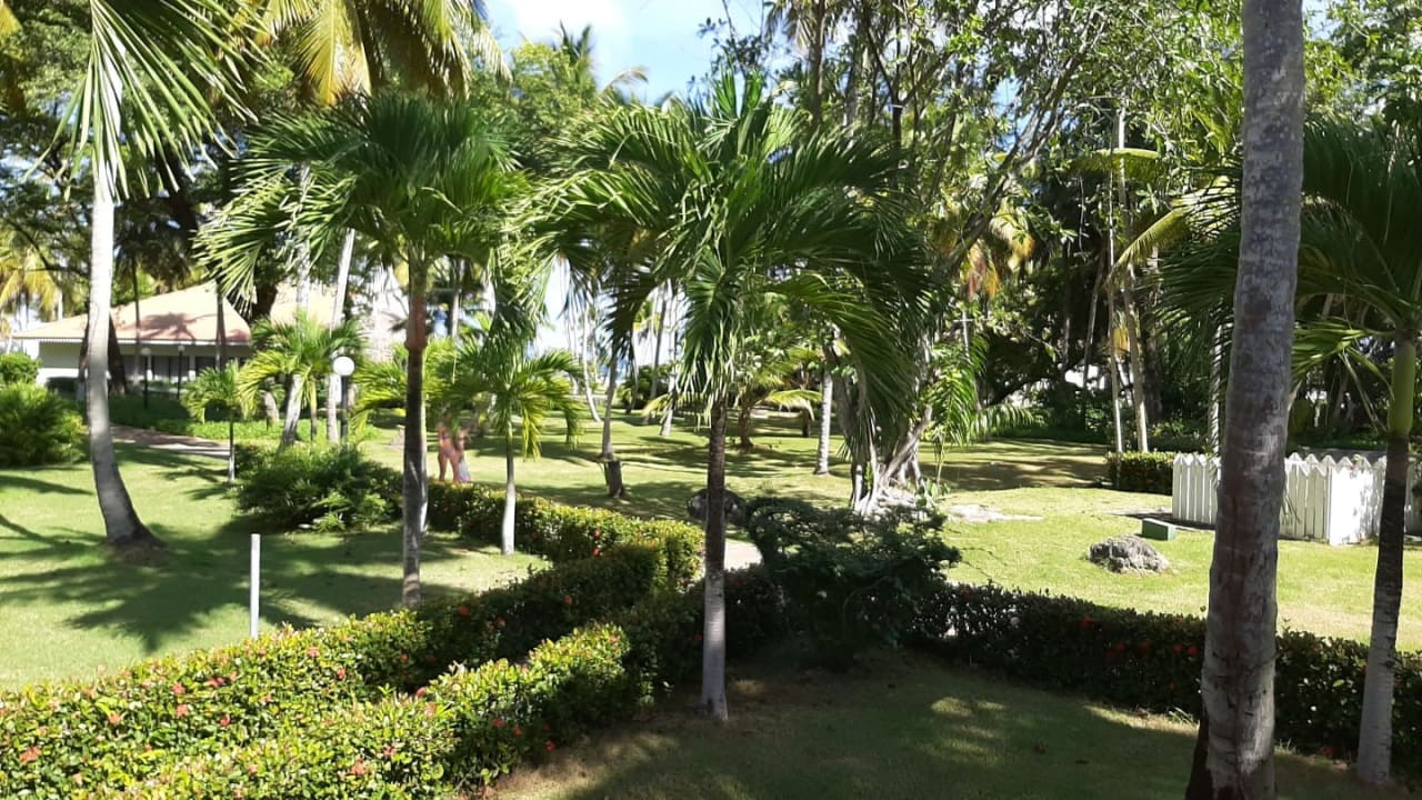 Ausblick Wyndham Alltra Samana