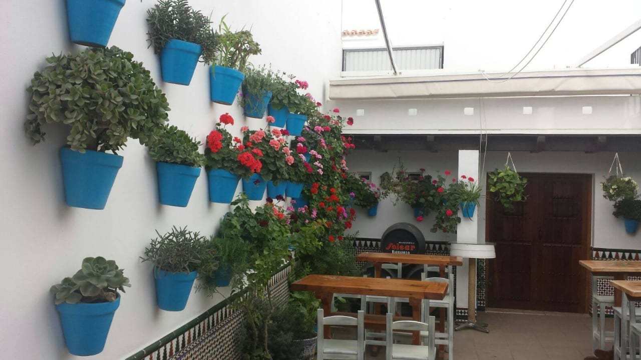 Blumenschmuck Fuerte Costa Luz (Fuerte Conil-Resort)