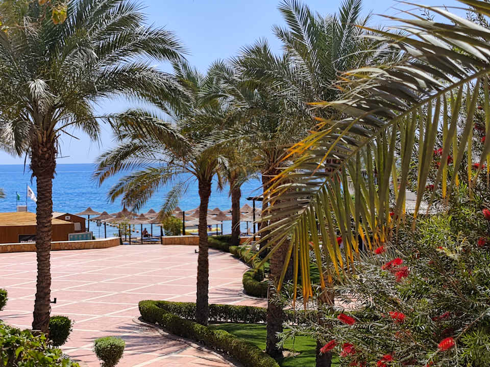 Außenansicht JAZ Dahabeya