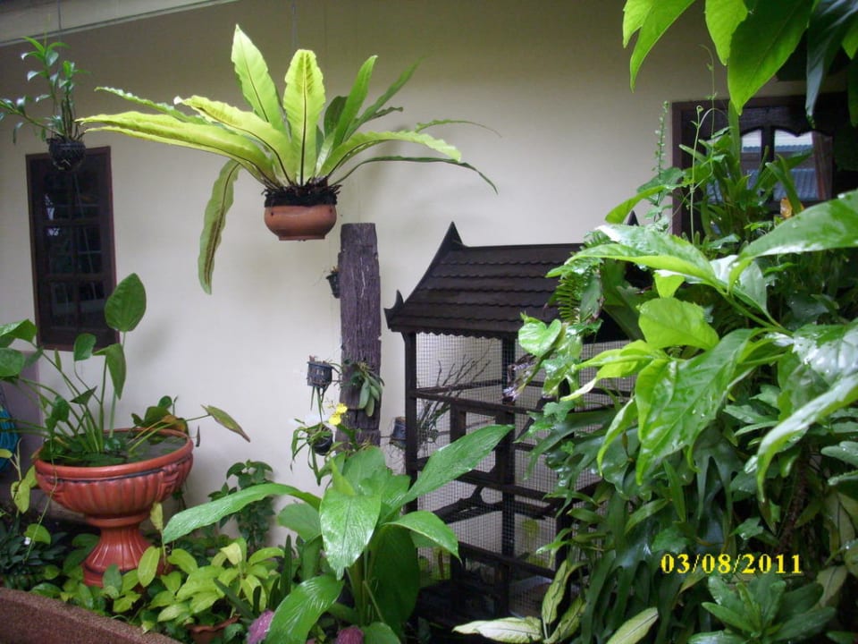 Gartenanlage Hotel Thomas Resort