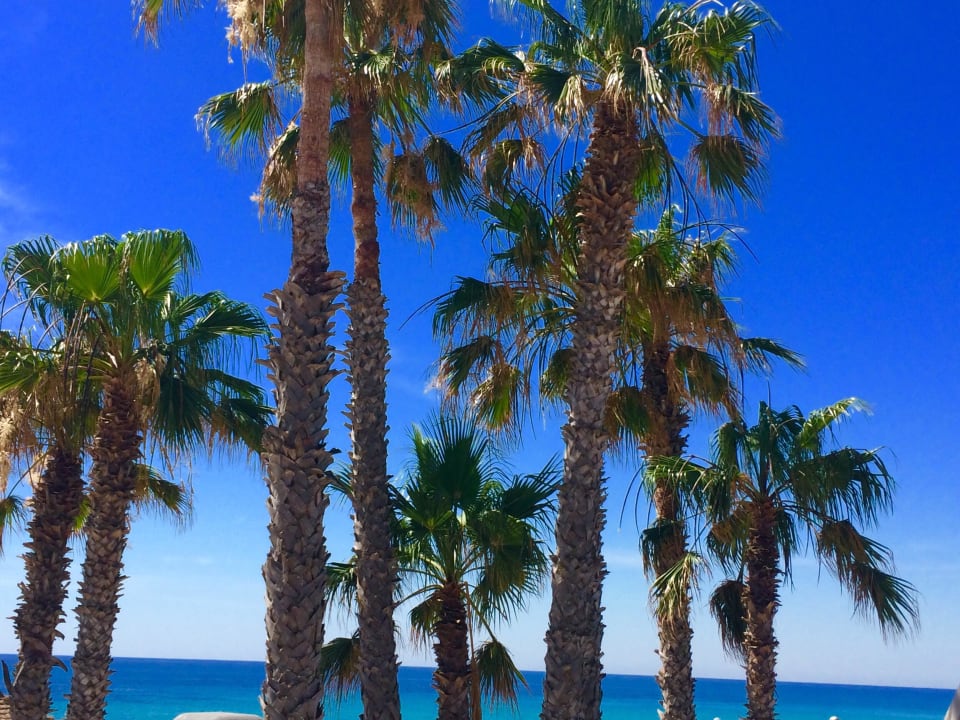 Ausblick am oberen Pool Hotel Bel Azur Thalasso & Bungalows