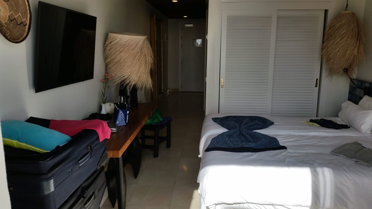 Zimmer Dreams Jardín Tropical