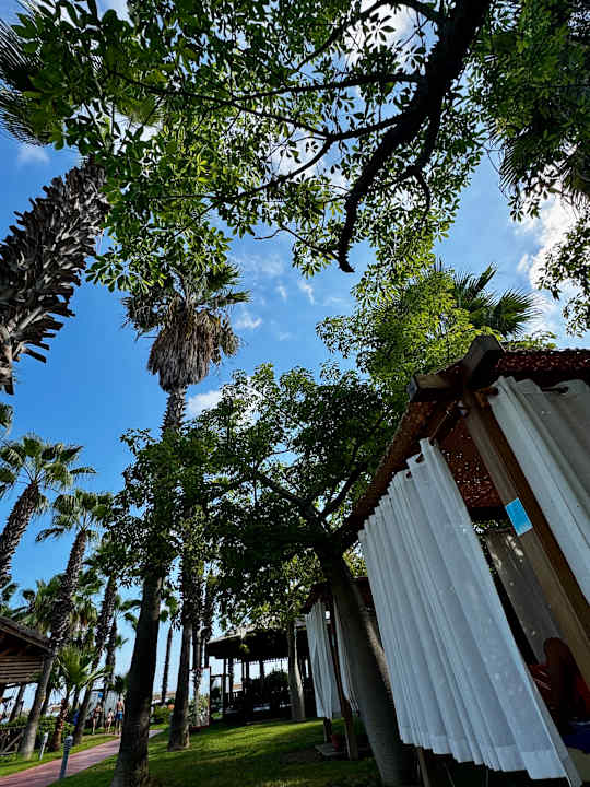 Gartenanlage Saturn Palace Resort Hotel