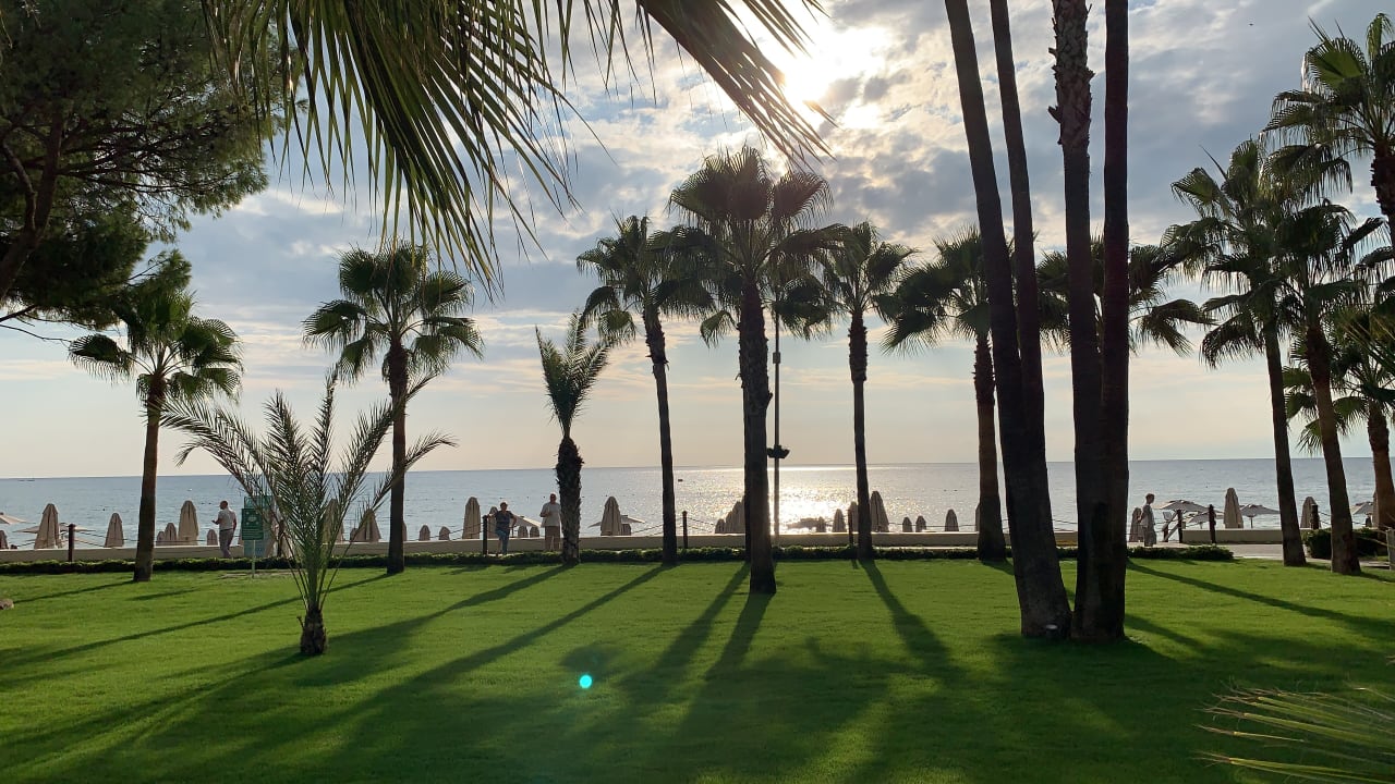 Gartenanlage Acanthus Cennet Barut Collection