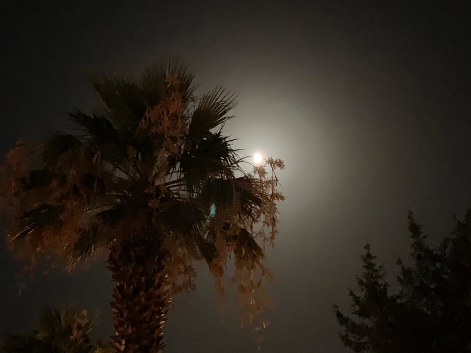 Ausblick Tirreno Resort