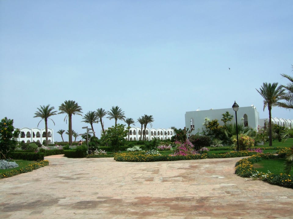 Blick auf die Unterkünfte Hotel Gorgonia Beach Resort