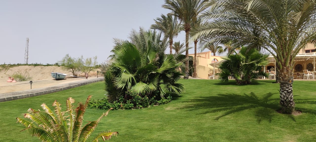 Ausblick Steigenberger Coraya Beach - Adults only