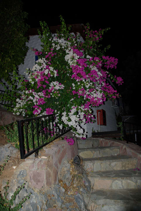 Gartenanlage La Finca Marina