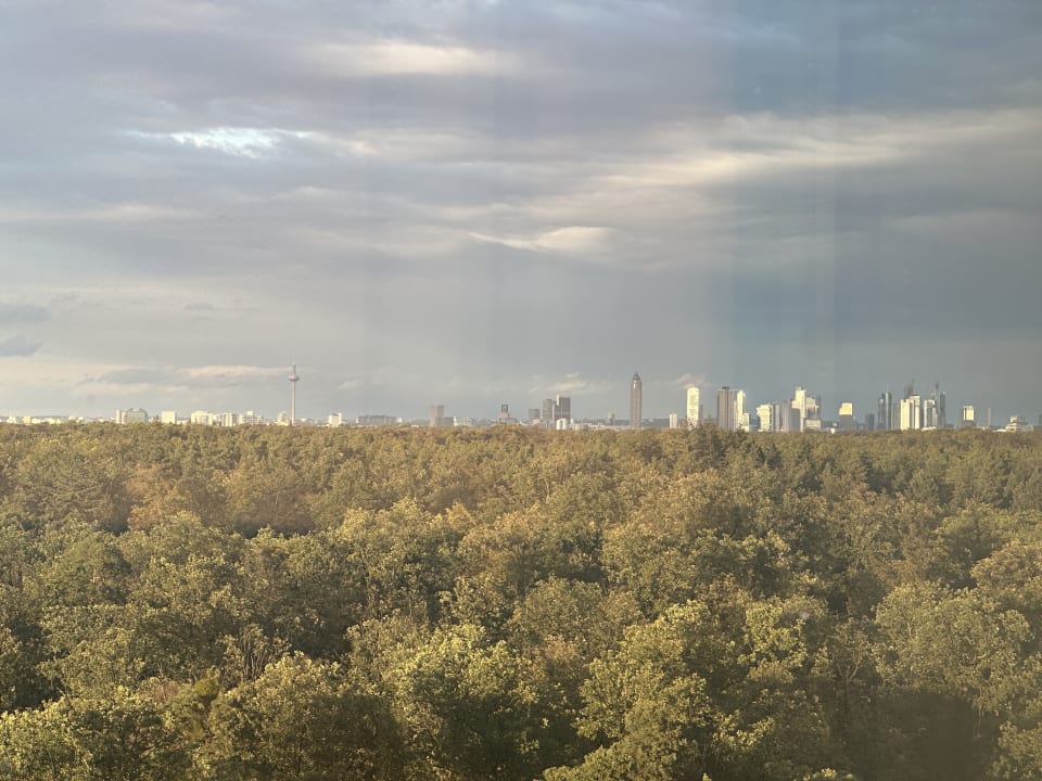 Ausblick Hilton Garden Inn Frankfurt Airport