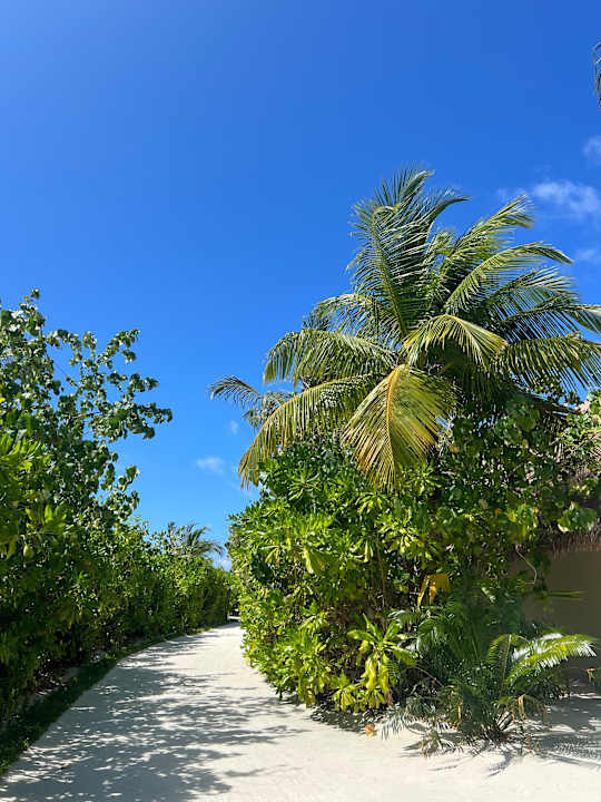 Gartenanlage Cinnamon Velifushi Maldives - Free One-Way Speedboat and 02 Kids Under 12 Stay & Dine Free