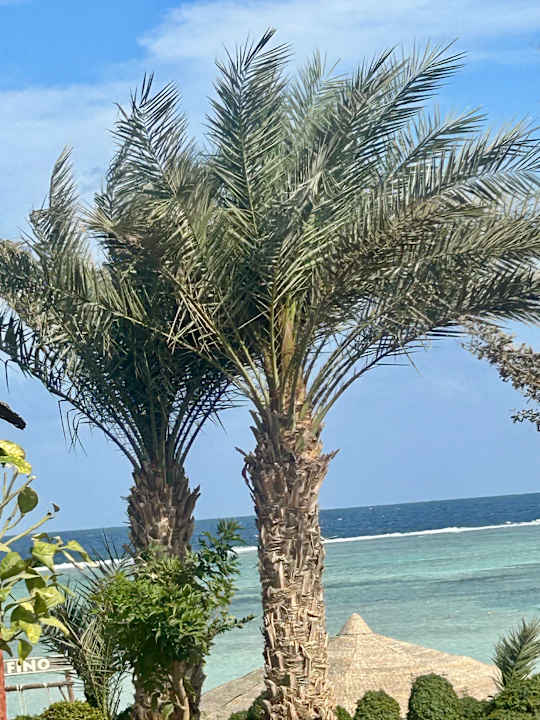 Ausblick Pickalbatros Villaggio Resort - Portofino