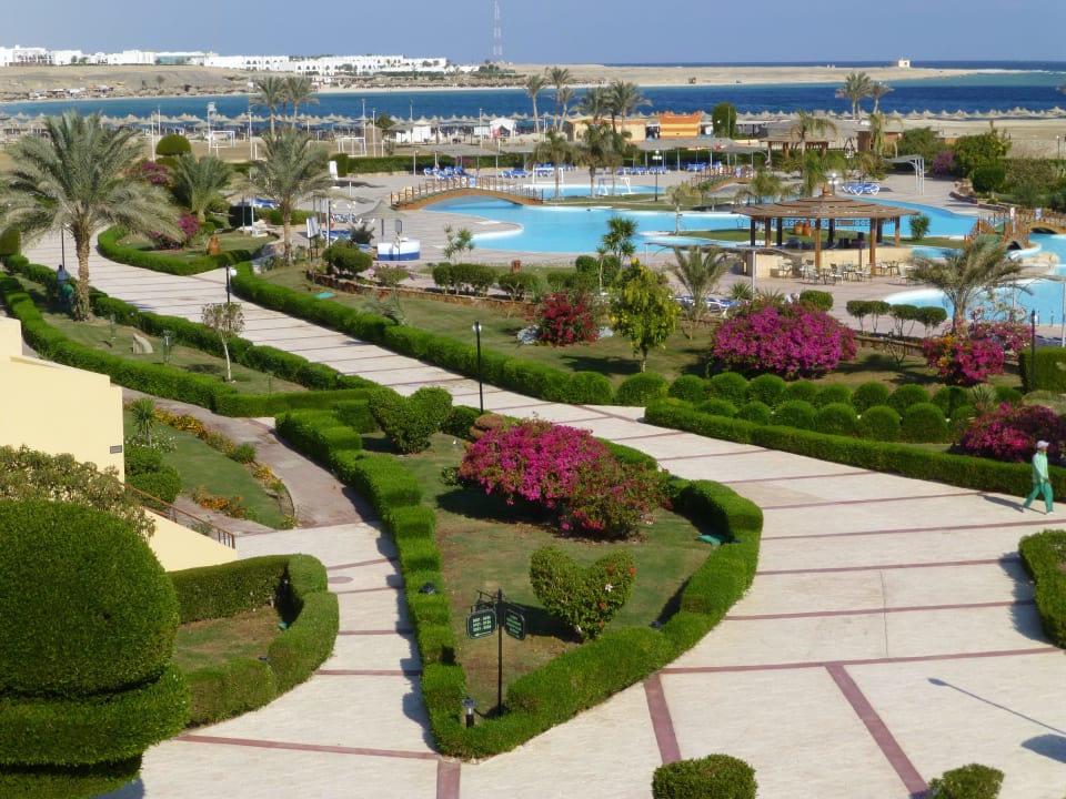 Widok na ogród i basen Malikia Resort Abu Dabbab