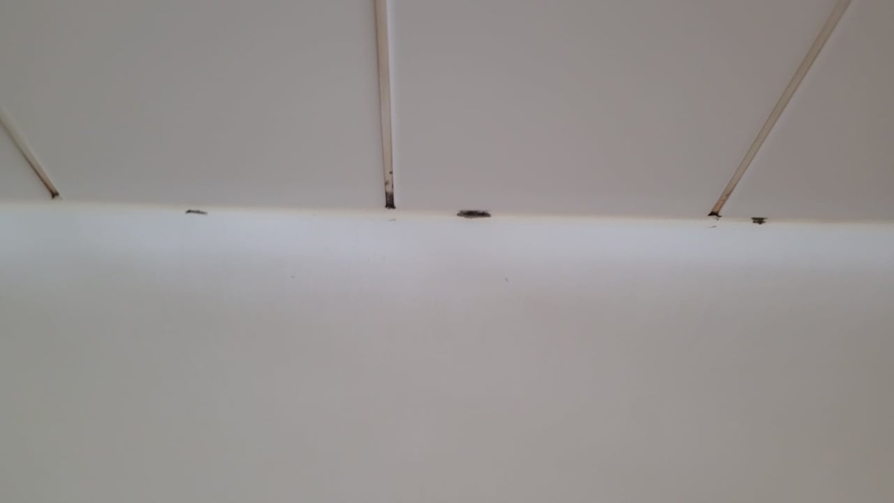 Zimmer J5 Hotels Helvetie Montreux