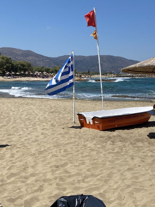 Strand allsun Hotel Carolina Mare