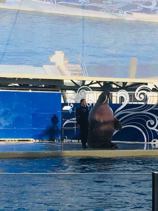 Sport & Freizeit The Land of Legends Kingdom Hotel