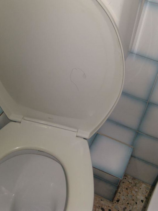 Haare an Toilettendeckel Hotel Racon d'en Pepe
