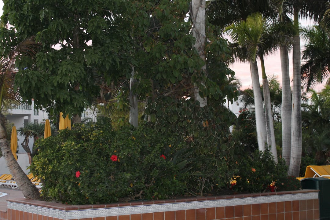 Gartenanlage Park Club Europe