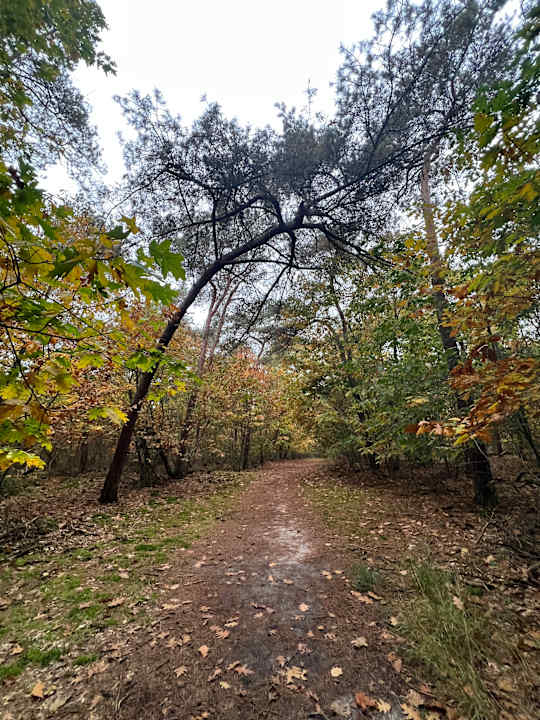 Sonstiges Roompot Park De Peel